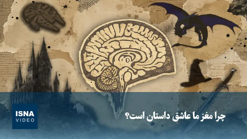 ویدیو/ چرا مغز ما عاشق داستان است؟
