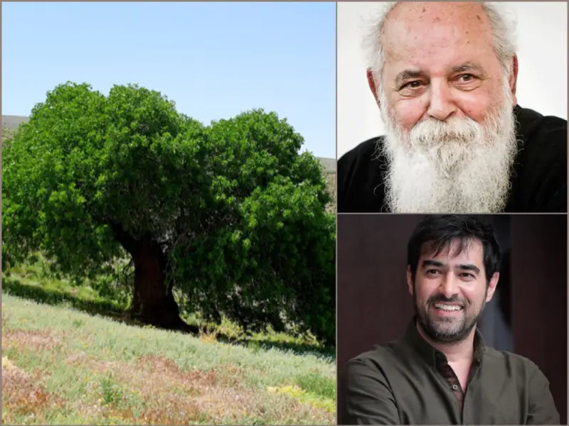 شهاب‌ حسینی، ابتهاج و روایت یک سفر ۲۰ ساله